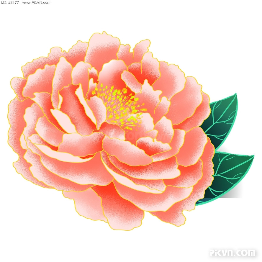 Bông Hoa Lá, Hoa Mẫu Đơn Đẹp Rực Rỡ, Tươi Thắm. File Psd #8 - Vector6.Com