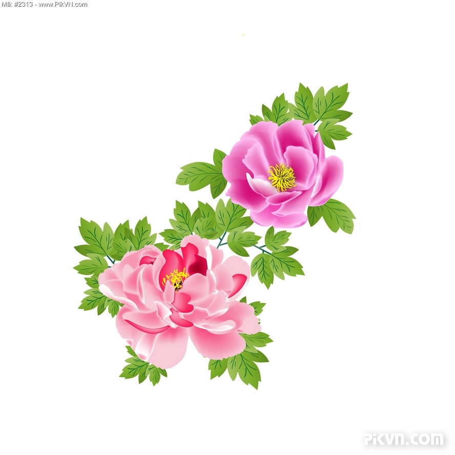 Bông Hoa Lá, Hoa Mẫu Đơn Đẹp Rực Rỡ, Tươi Thắm. File Vector #3 - Vector6.Com