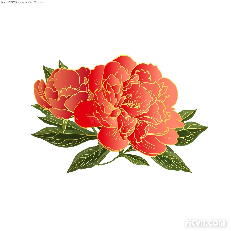 Bông Hoa Lá, Hoa Mẫu Đơn Đẹp Rực Rỡ, Tươi Thắm. File Vector #10 -  Vector6.Com