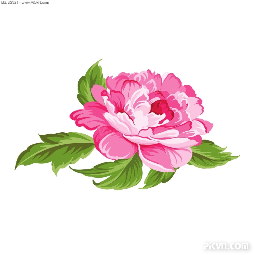 Bông Hoa Lá, Hoa Mẫu Đơn Đẹp Rực Rỡ, Tươi Thắm. File Vector #11 -  Vector6.Com